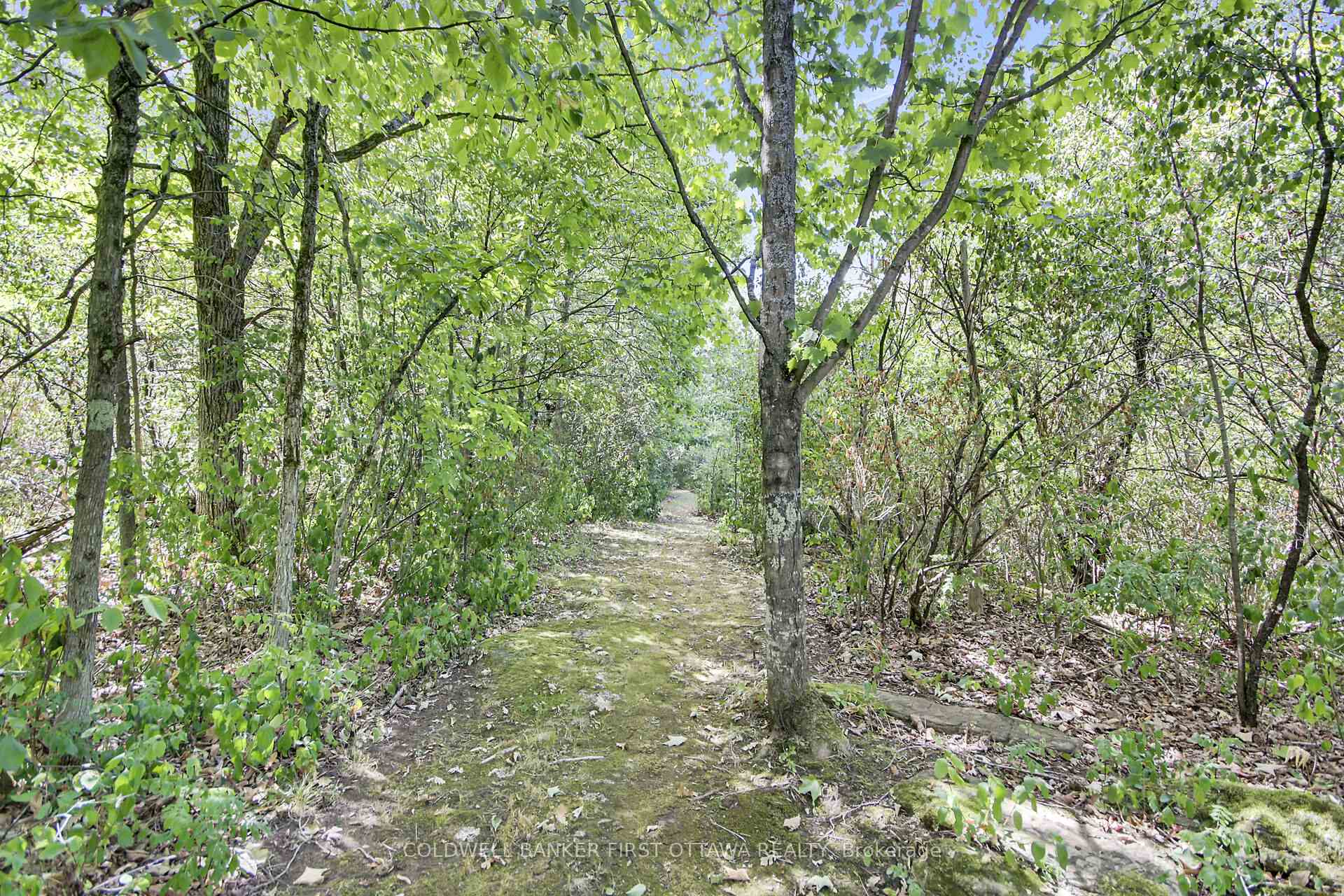 Photo 25 of 230 Pine Ridge Drive, Beckwith, Beckwith Twp — HOMEH
