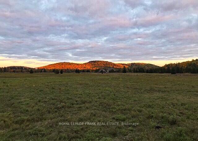 Photo 30 of 778 Maxwell Setlmt Road, Bancroft, Dungannon Ward — HOMEH