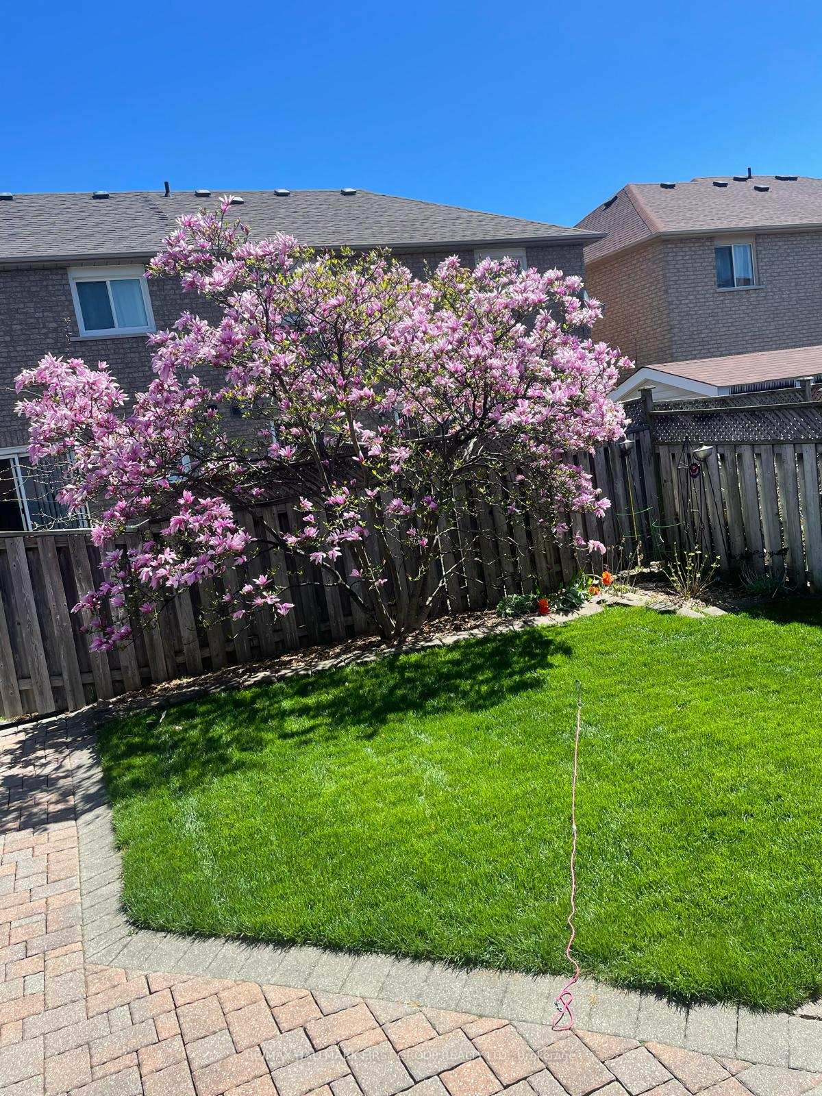 Photo 38 of 1547 Arcadia Square, Pickering, Amberlea — HOMEH