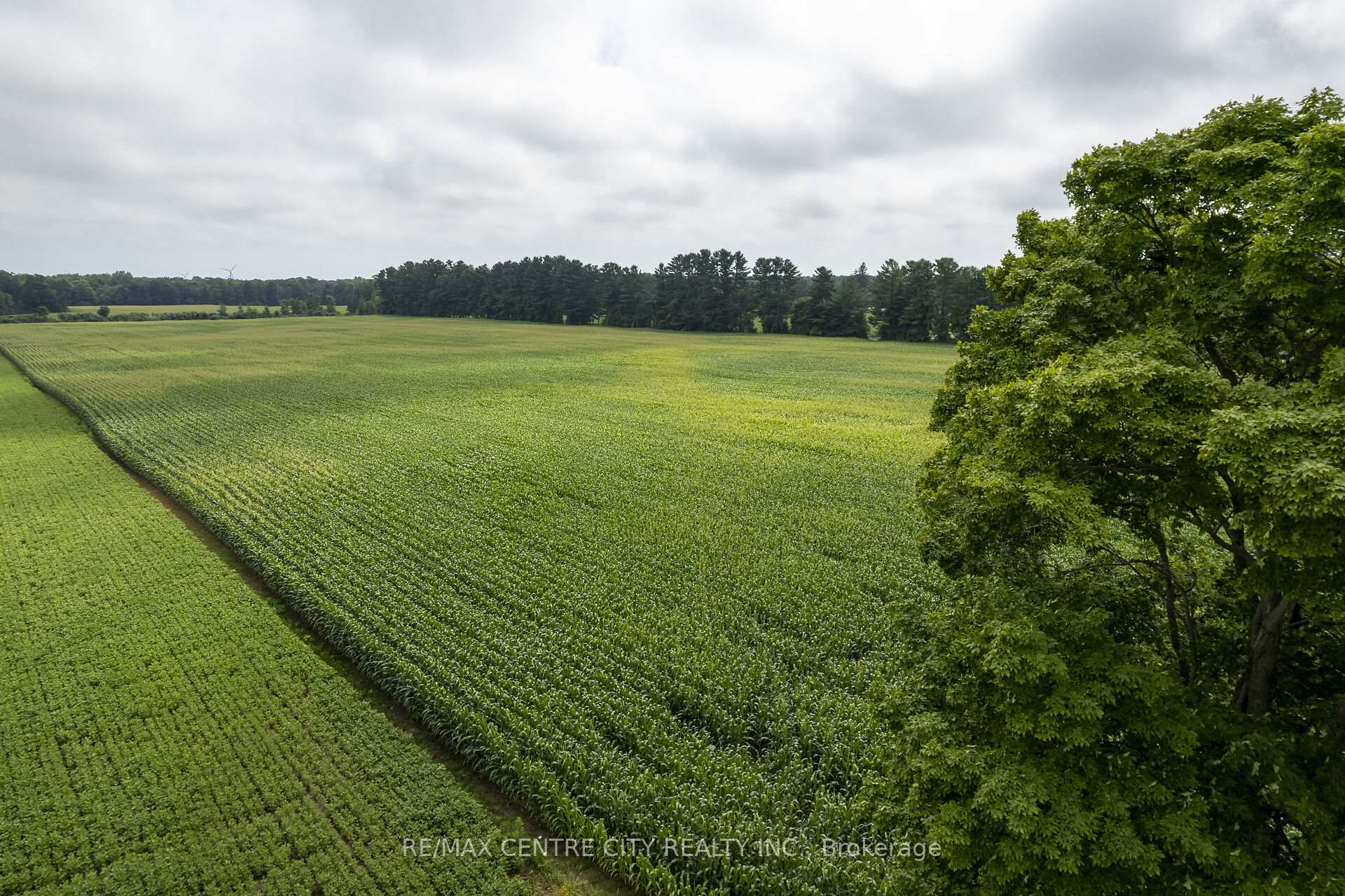 Photo 19 of 56813 Light Line, Bayham, Rural Bayham — HOMEH