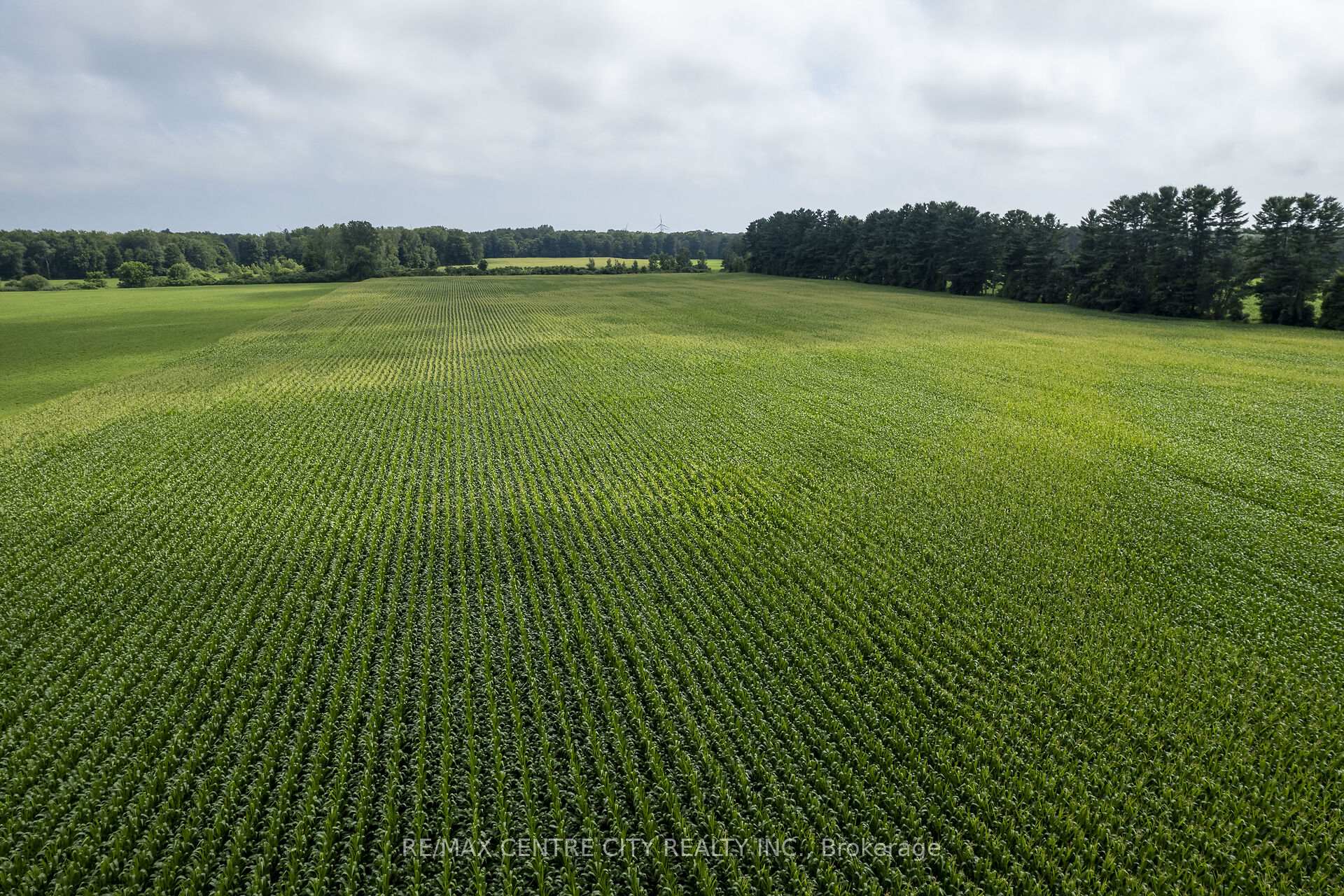 Photo 31 of 56813 Light Line, Bayham, Rural Bayham — HOMEH