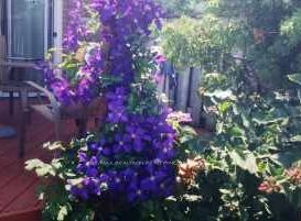Photo 20 of 1065 Rathmore Crescent, Pickering, Liverpool — HOMEH