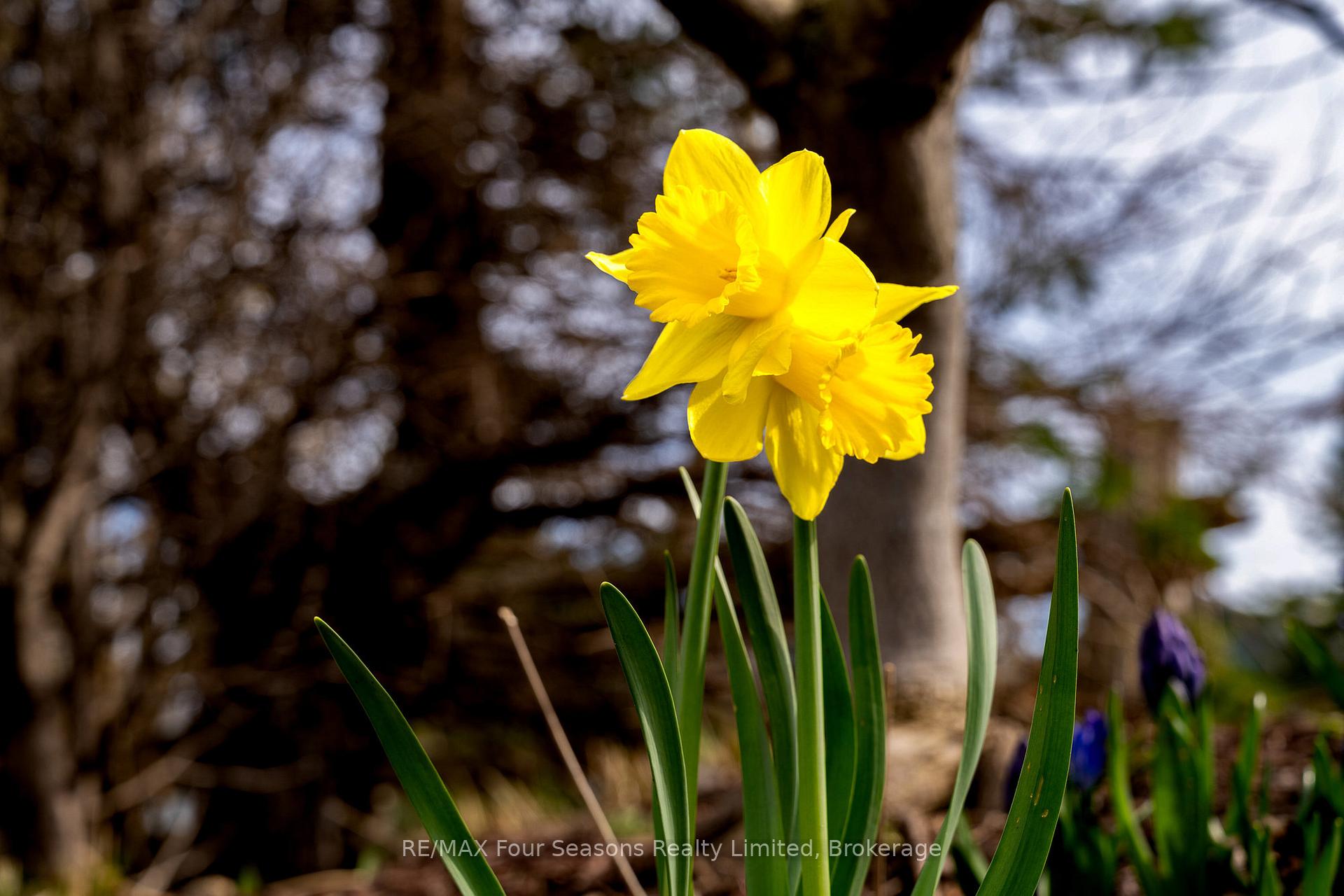 Photo 18 of 150 Brooker Boulevard, Blue Mountains — HOMEH