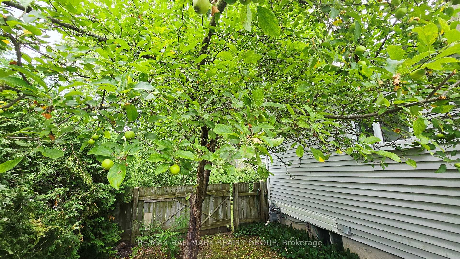 Photo 11 of 2923 Ahearn Avenue, Ottawa, Britannia — HOMEH