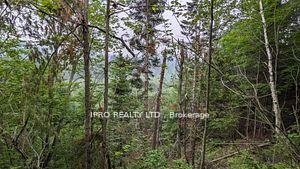 Photo 2 of 00 Highway 28, Bancroft, Dungannon Ward — HOMEH