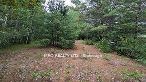 Photo 3 of 00 Highway 28, Bancroft, Dungannon Ward — HOMEH