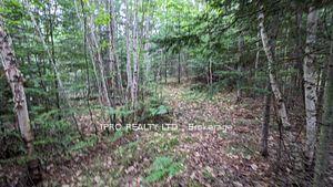 Photo 7 of 00 Highway 28, Bancroft, Dungannon Ward — HOMEH