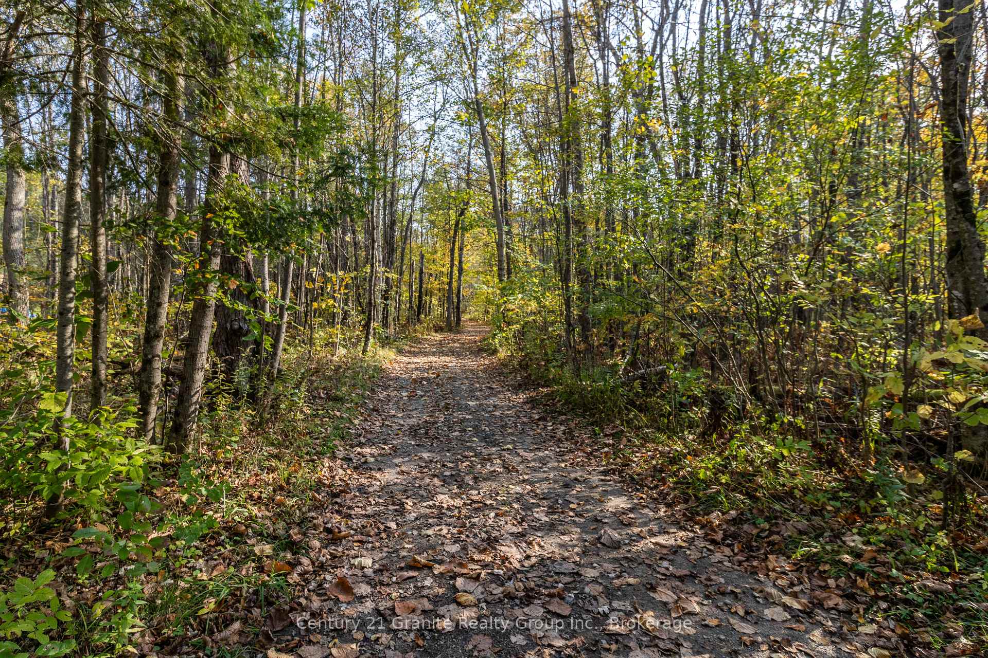 Photo 49 of 1076 Providence Drive, Algonquin Highlands, Stanhope — HOMEH