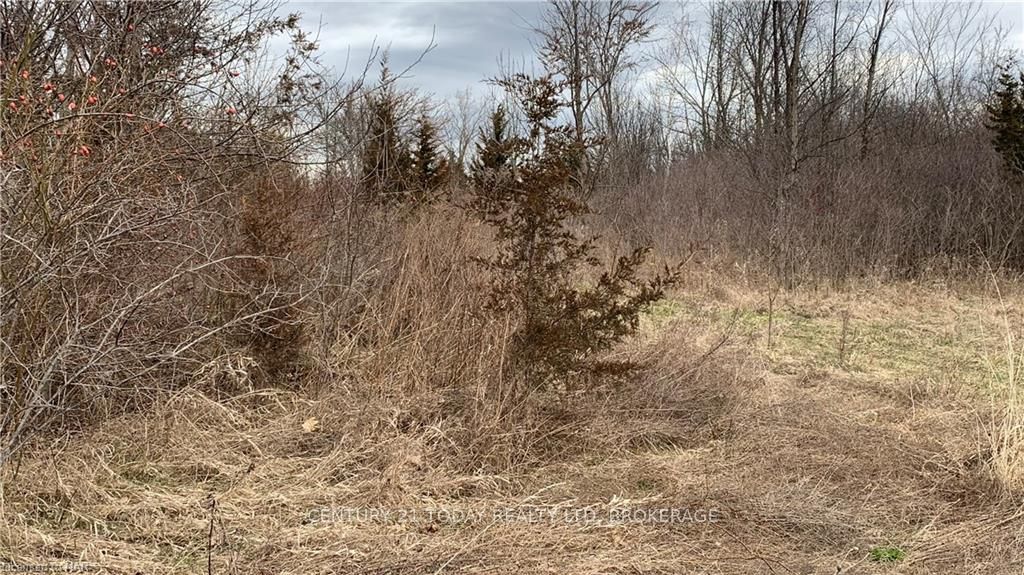 Photo 19 of 14 Adah Court, Welland, Prince Charles — HOMEH