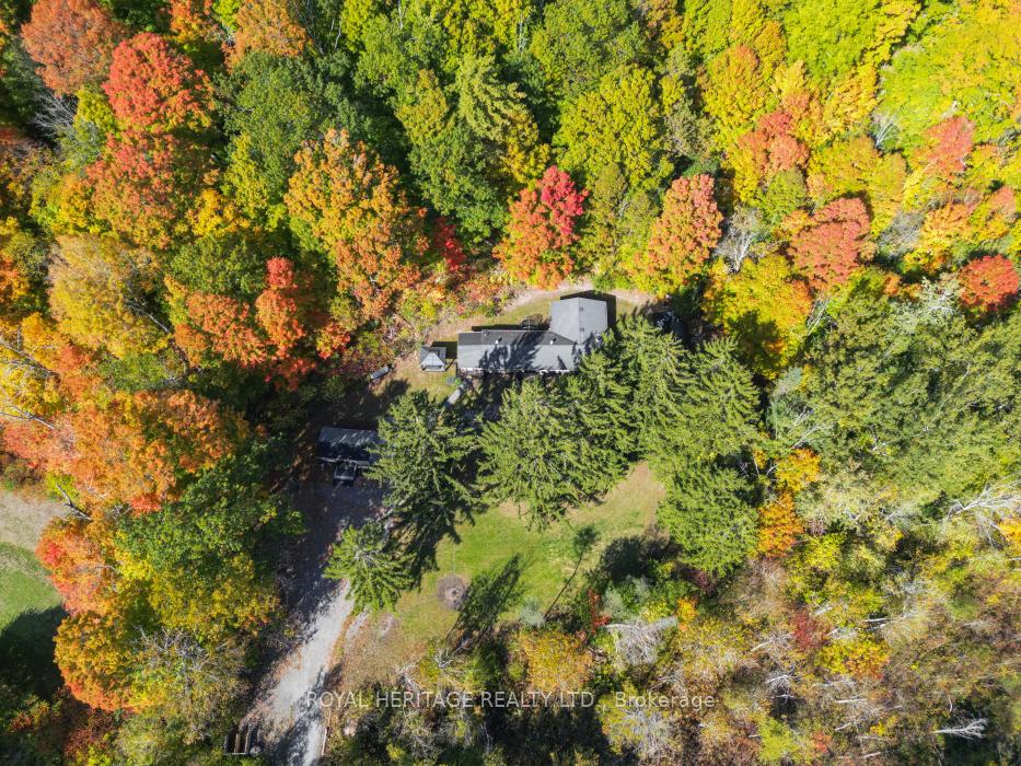 Photo 35 of 15354 County Road 2, Brighton, Rural Brighton — HOMEH