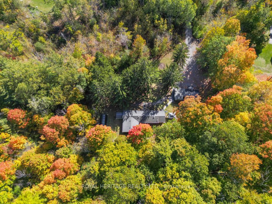 Photo 40 of 15354 County Road 2, Brighton, Rural Brighton — HOMEH