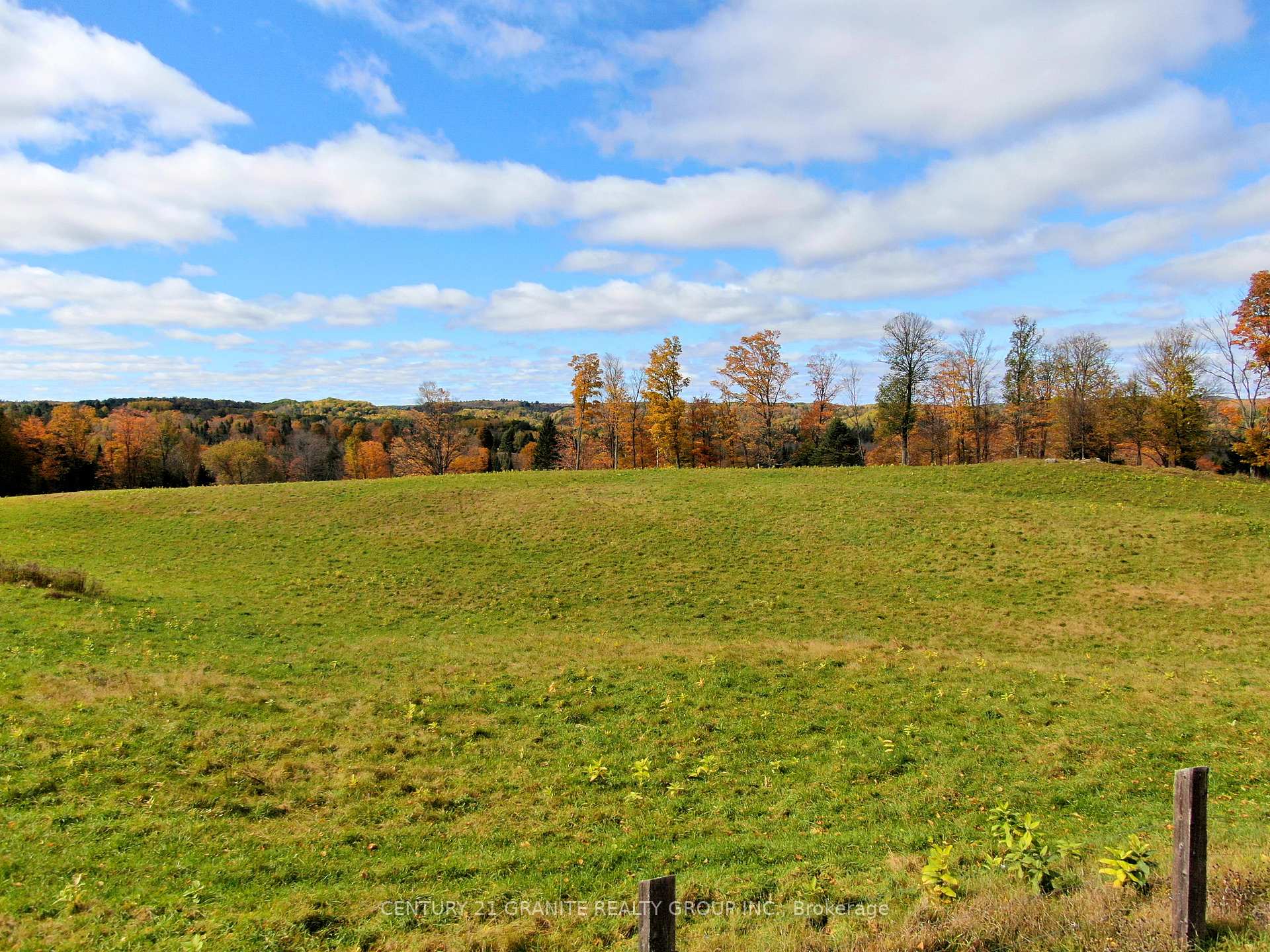 Photo 25 of Detlor Road, Bancroft, Dungannon Ward — HOMEH