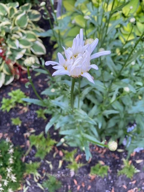 Photo 48 of 68 Lowder Place, Whitby, Blue Grass Meadows — HOMEH