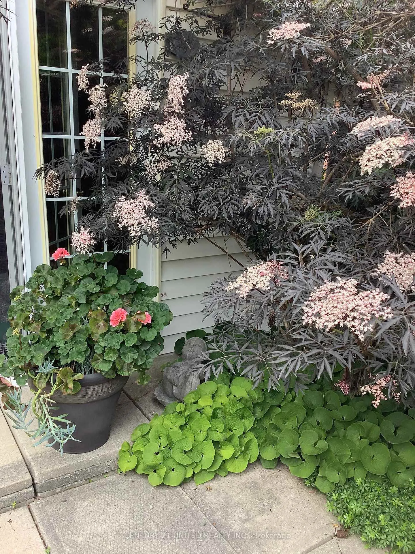 Photo 35 of 458 Driscoll Terrace, Peterborough, Ashburnham Ward 4 — HOMEH