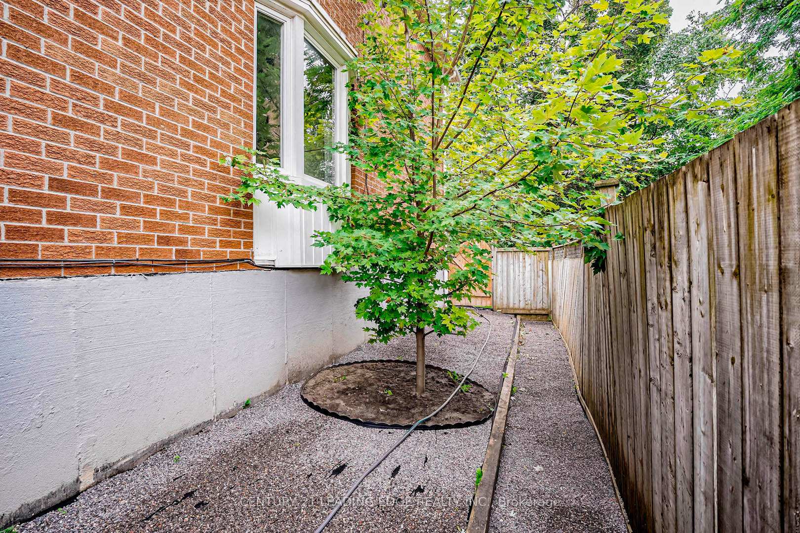 Photo 49 of 98 Frederick Street, Whitby, Blue Grass Meadows — HOMEH