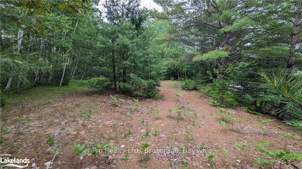 Photo 4 of Highway 28, Bancroft, Dungannon Ward — HOMEH