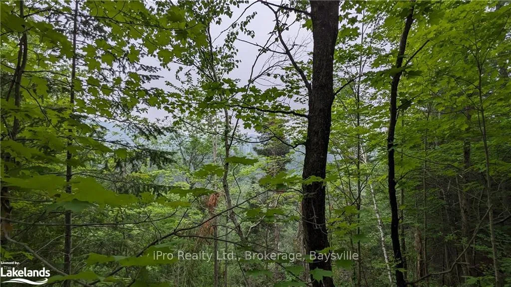 Photo 8 of Highway 28, Bancroft, Dungannon Ward — HOMEH