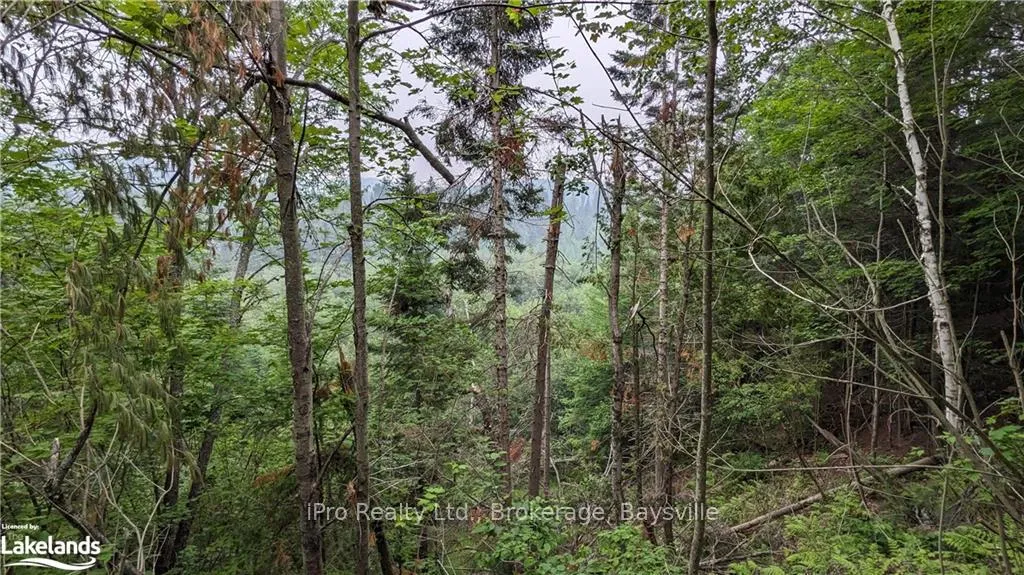 Photo 9 of Highway 28, Bancroft, Dungannon Ward — HOMEH