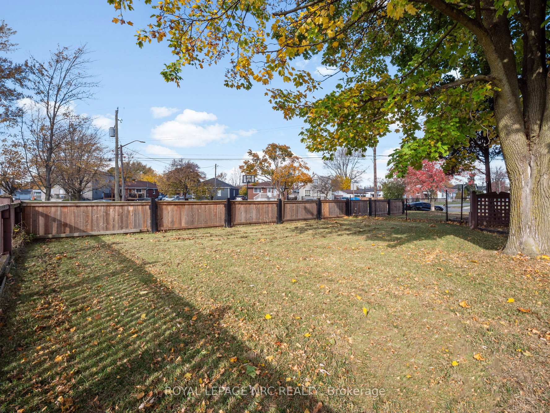 Photo 9 of 91 Saint George Street, Welland, Broadway — HOMEH