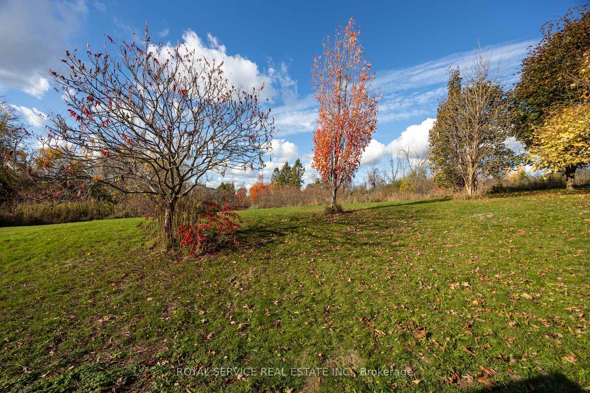 Photo 47 of 446 Abound Crescent, Peterborough, Ashburnham Ward 4 — HOMEH