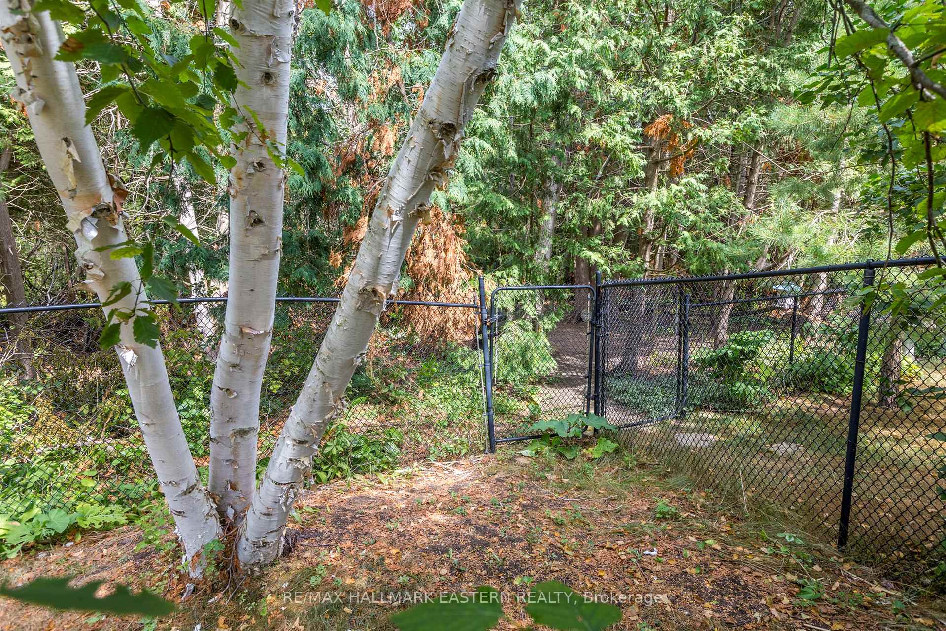 Photo 31 of 20 Eldon Court, Peterborough, Ashburnham Ward 4 — HOMEH
