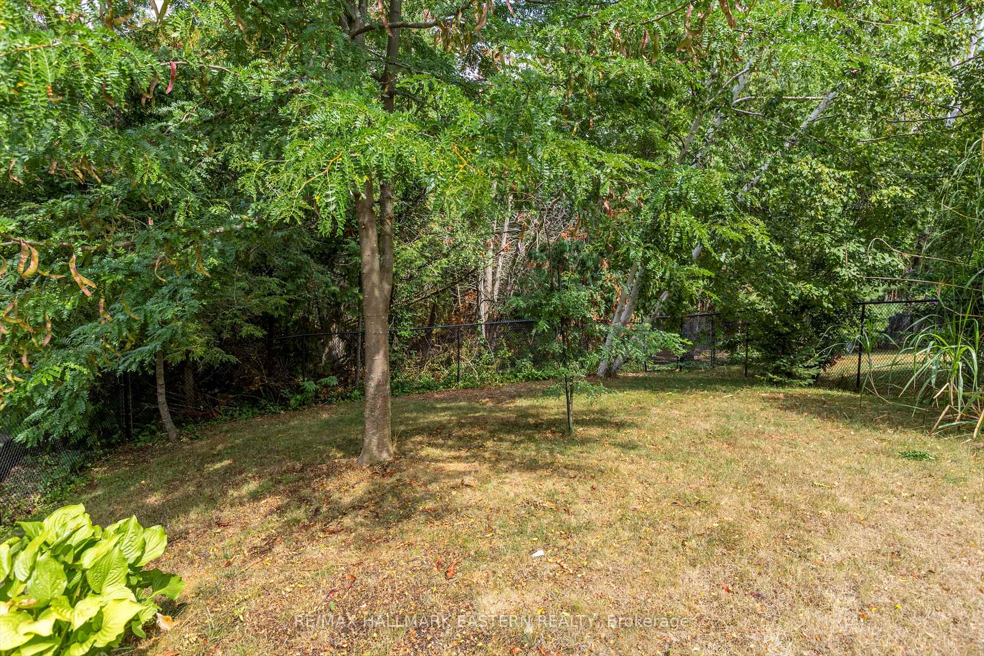 Photo 33 of 20 Eldon Court, Peterborough, Ashburnham Ward 4 — HOMEH