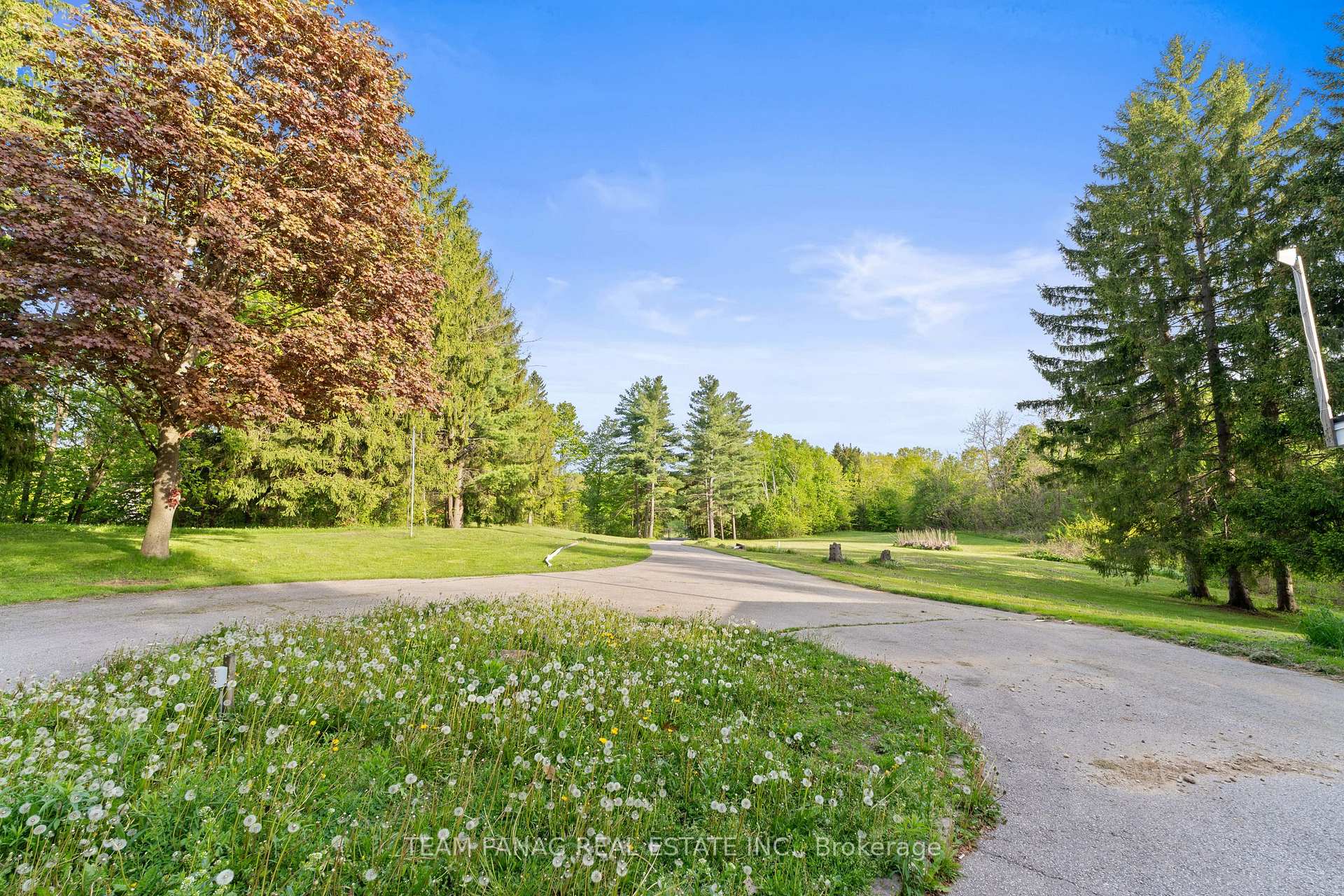 Photo 8 of 7062 Castlederg Side Road, Caledon, Rural Caledon — HOMEH