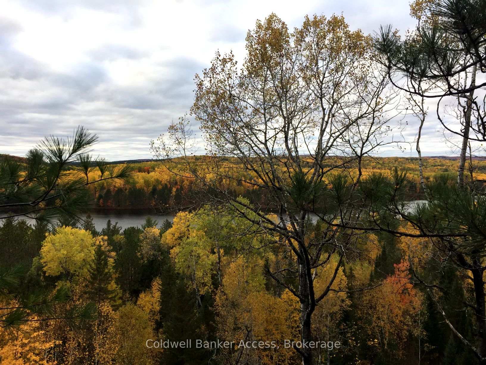 Photo 4 of LOT 23 Concession 6, Calvin — HOMEH