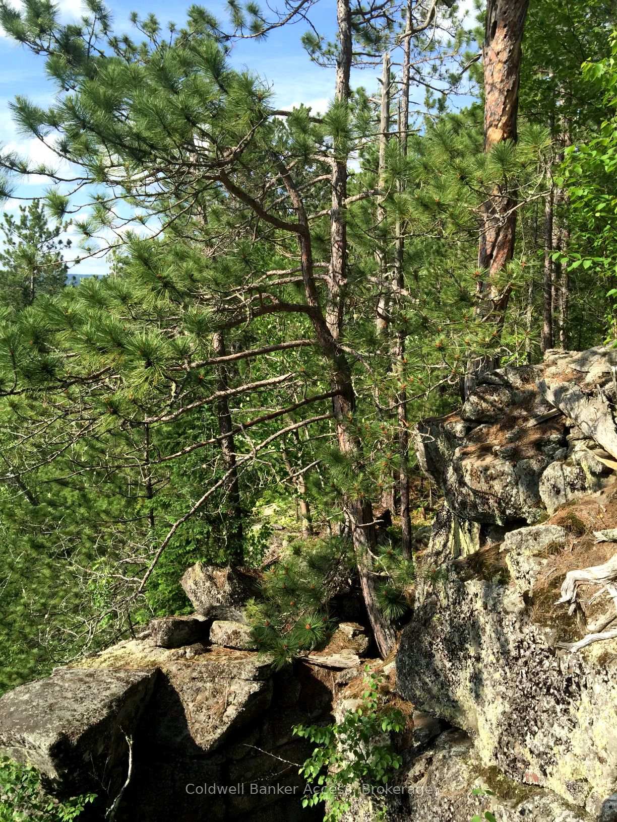 Photo 6 of LOT 23 Concession 6, Calvin — HOMEH