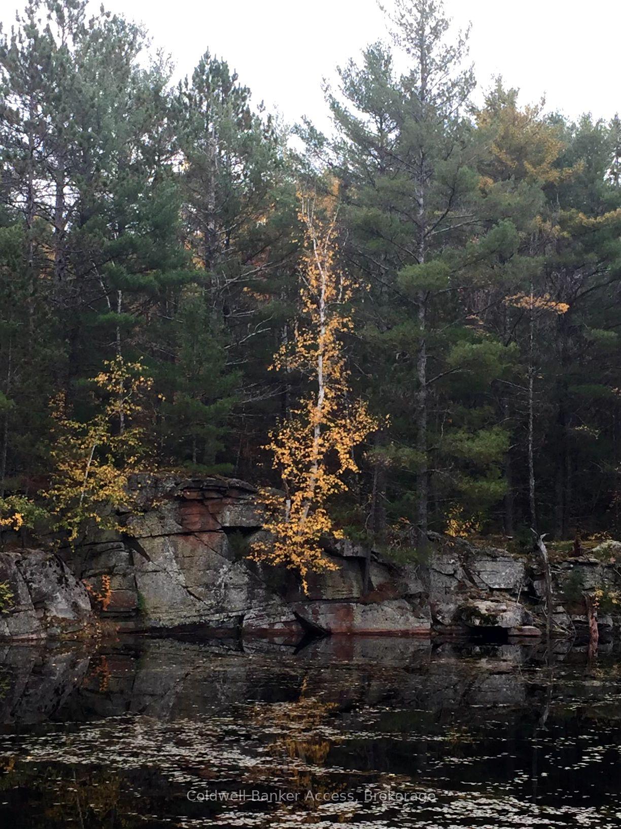 Photo 7 of LOT 23 Concession 6, Calvin — HOMEH
