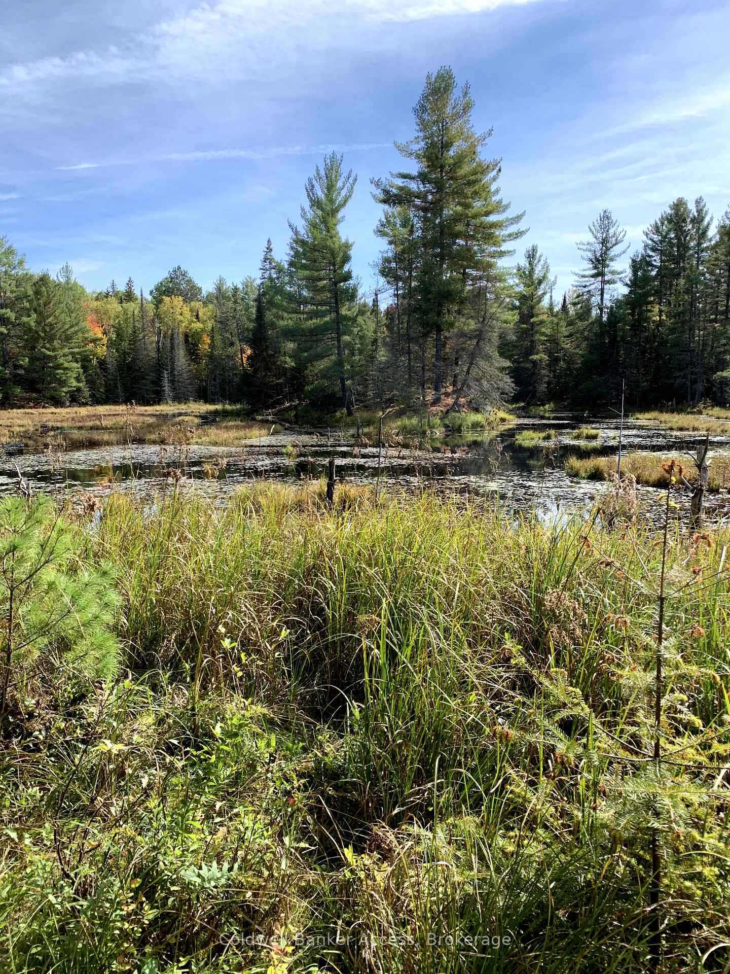 Photo 8 of LOT 23 Concession 6, Calvin — HOMEH
