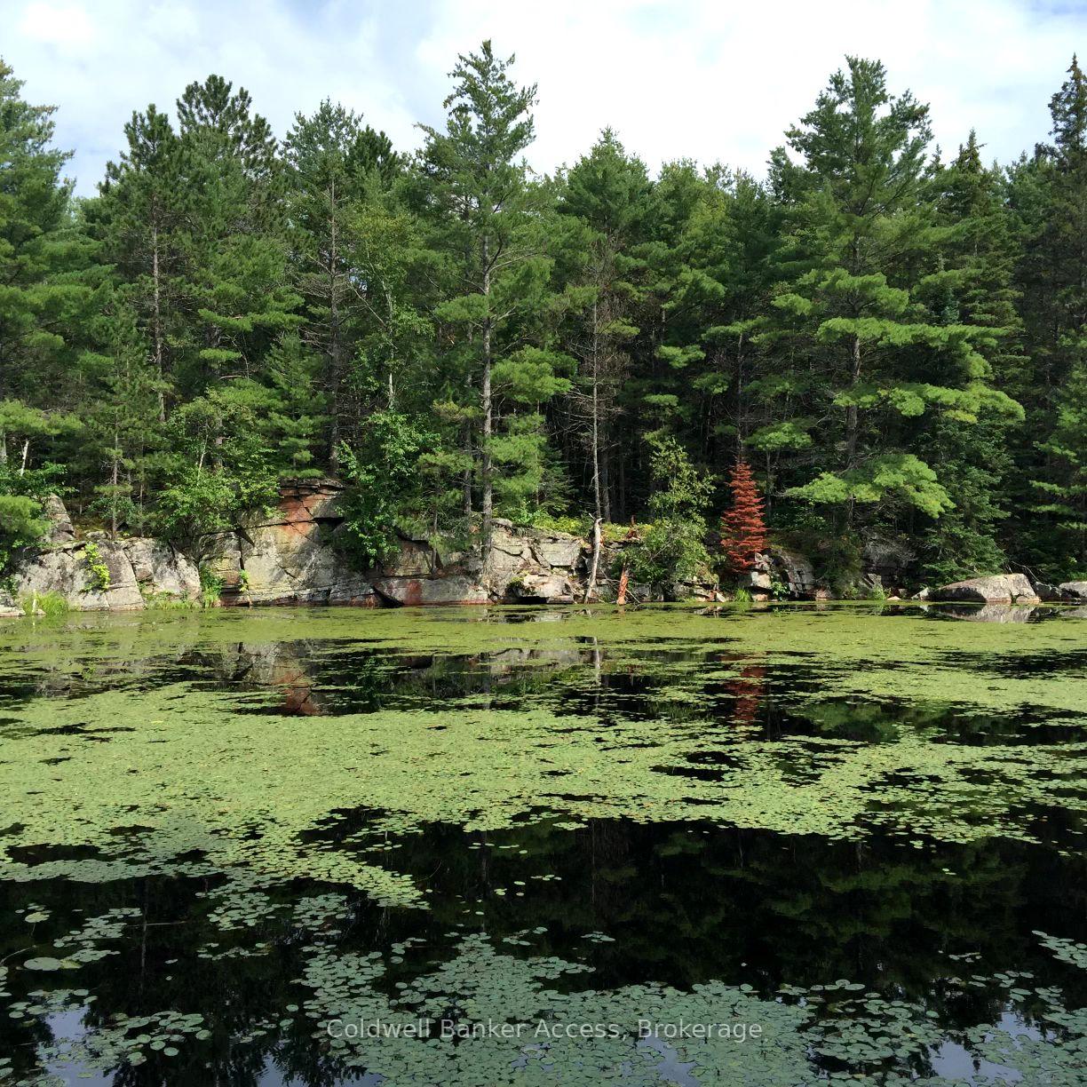 Photo 12 of LOT 23 Concession 6, Calvin — HOMEH
