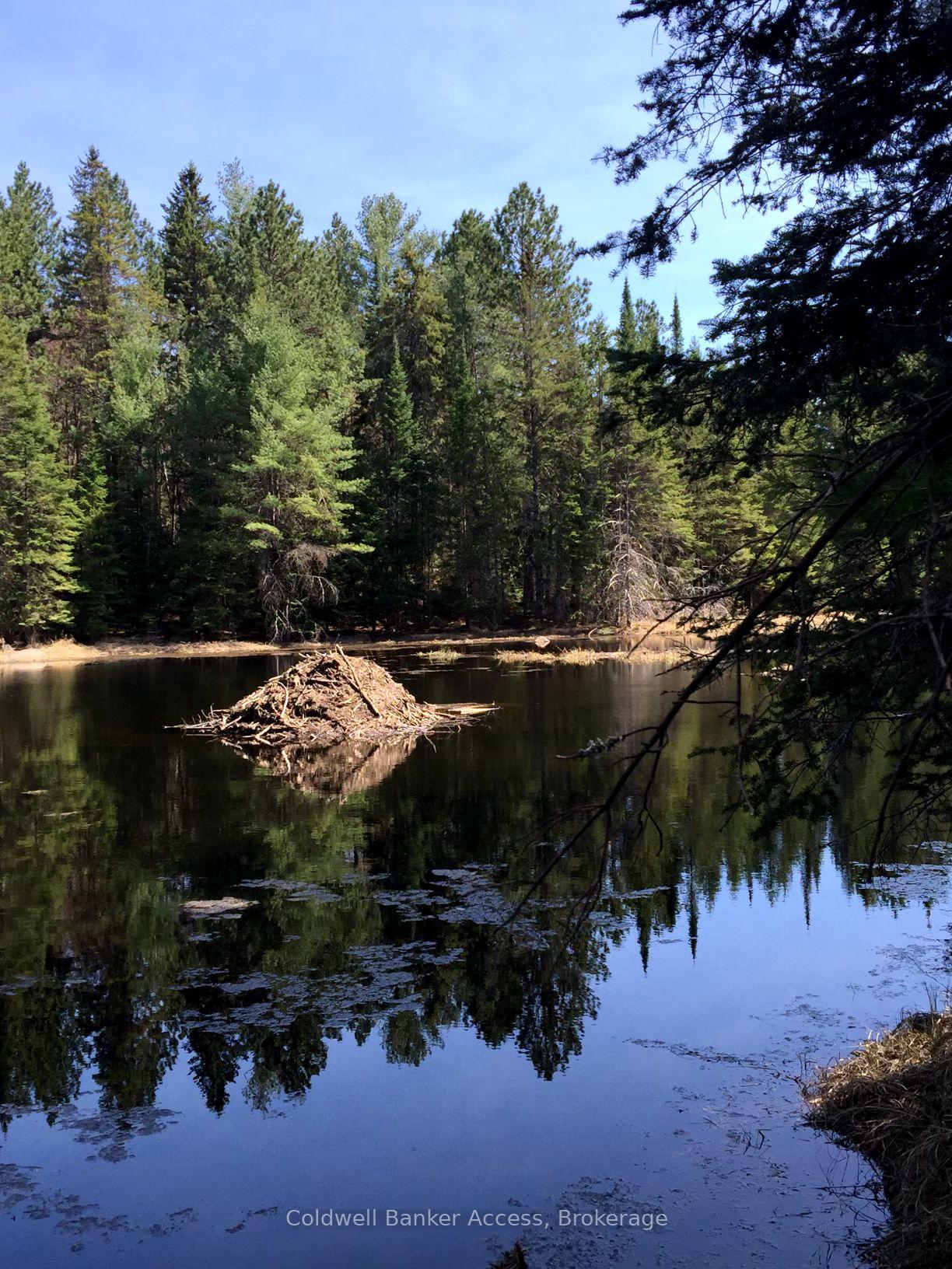 Photo 15 of LOT 23 Concession 6, Calvin — HOMEH
