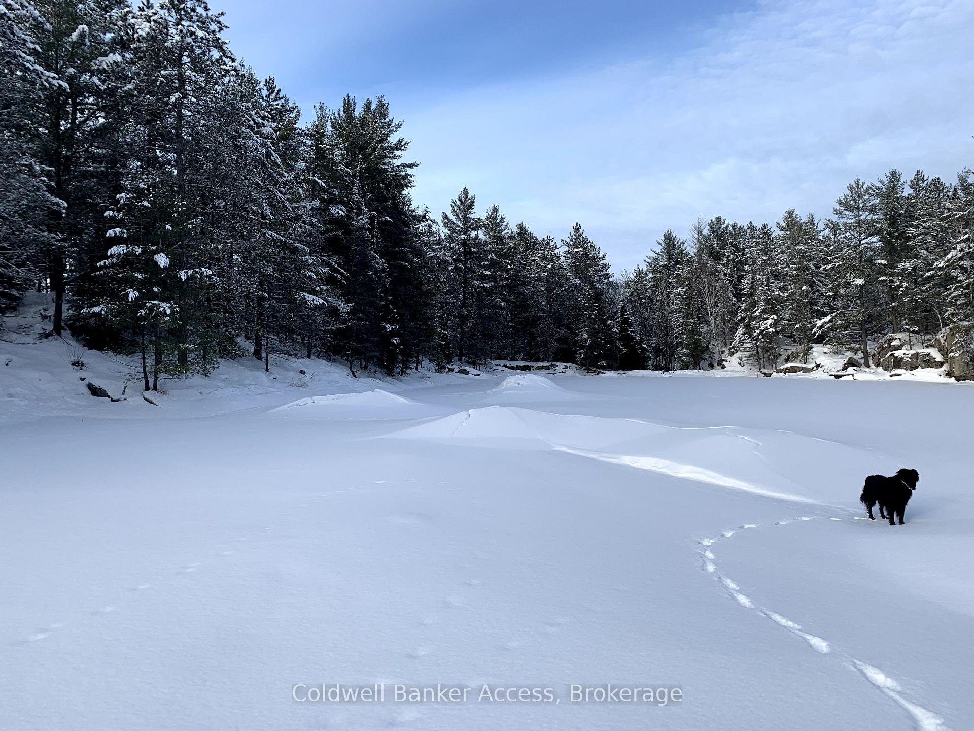 Photo 41 of LOT 23 Concession 6, Calvin — HOMEH