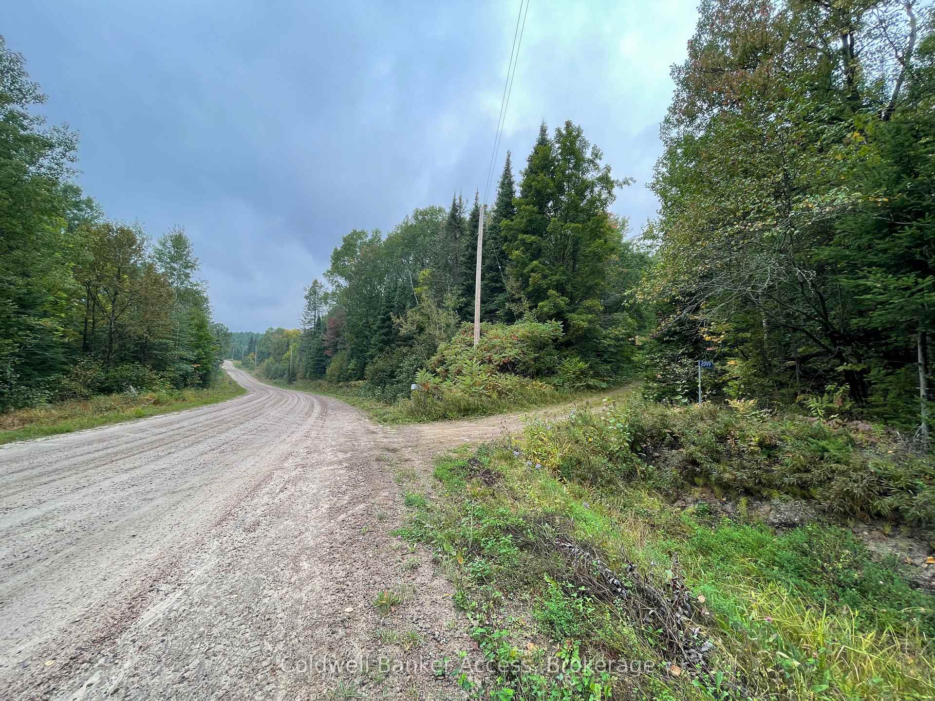 Photo 11 of LOT 23 Concession 6, Calvin — HOMEH