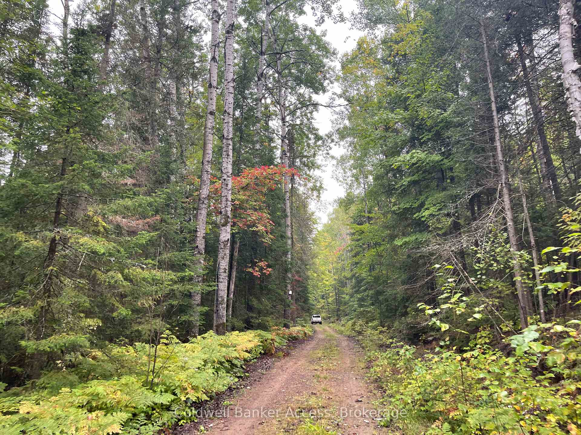 Photo 13 of LOT 23 Concession 6, Calvin — HOMEH
