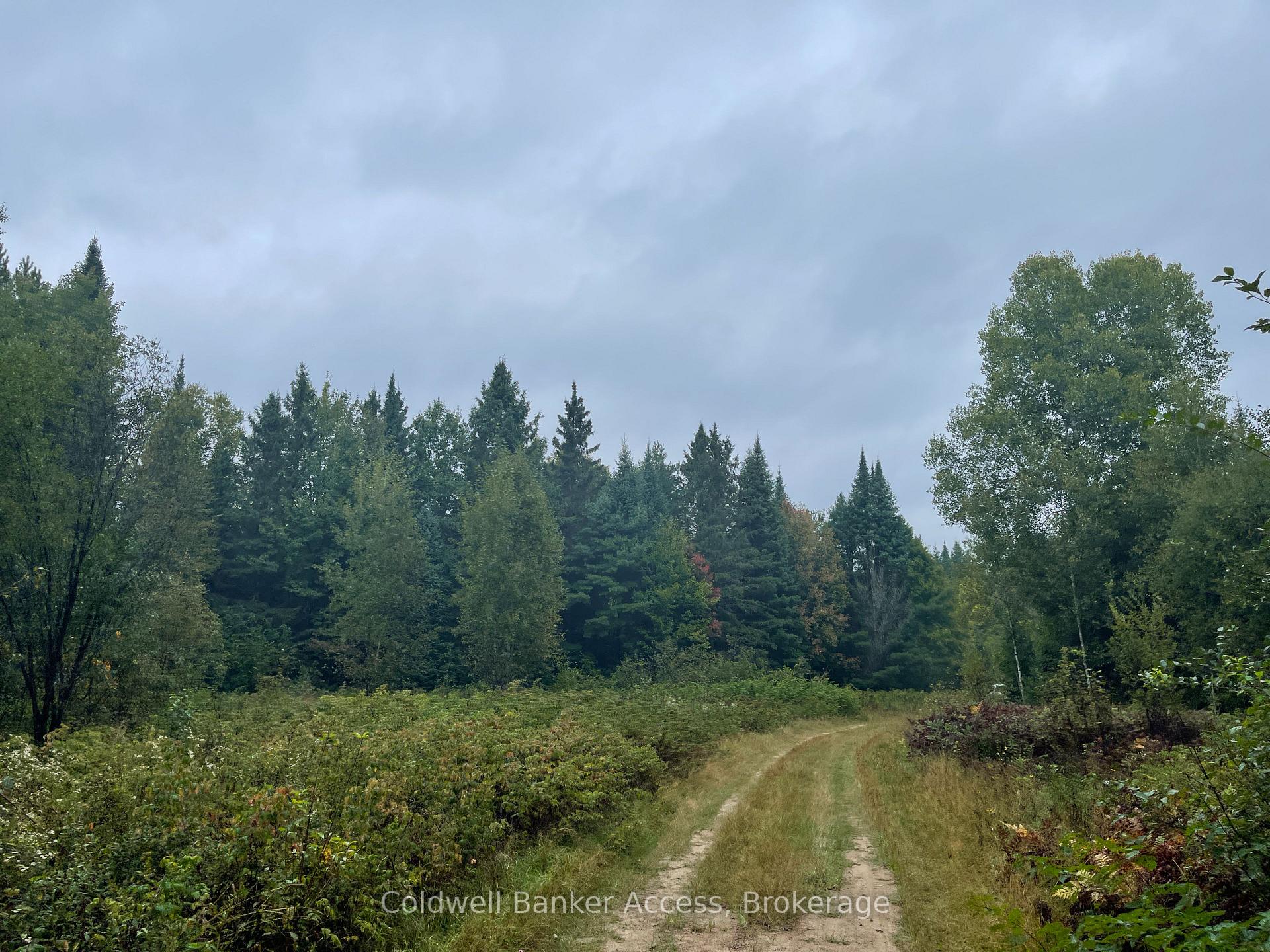 Photo 14 of LOT 23 Concession 6, Calvin — HOMEH