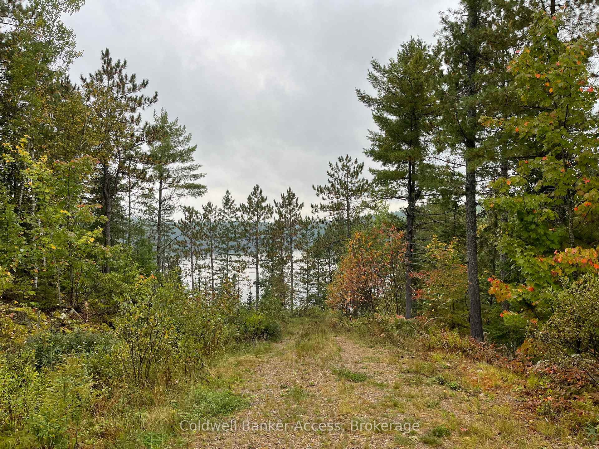 Photo 17 of LOT 23 Concession 6, Calvin — HOMEH