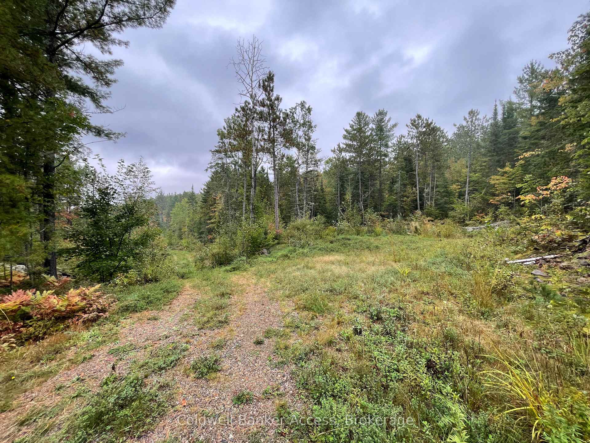Photo 16 of LOT 23 Concession 6, Calvin — HOMEH