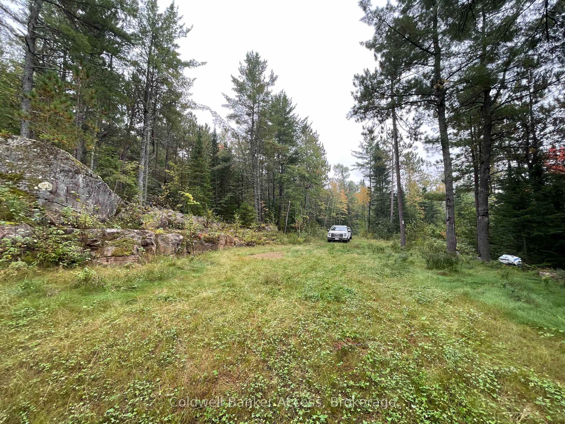 Photo 19 of LOT 23 Concession 6, Calvin — HOMEH