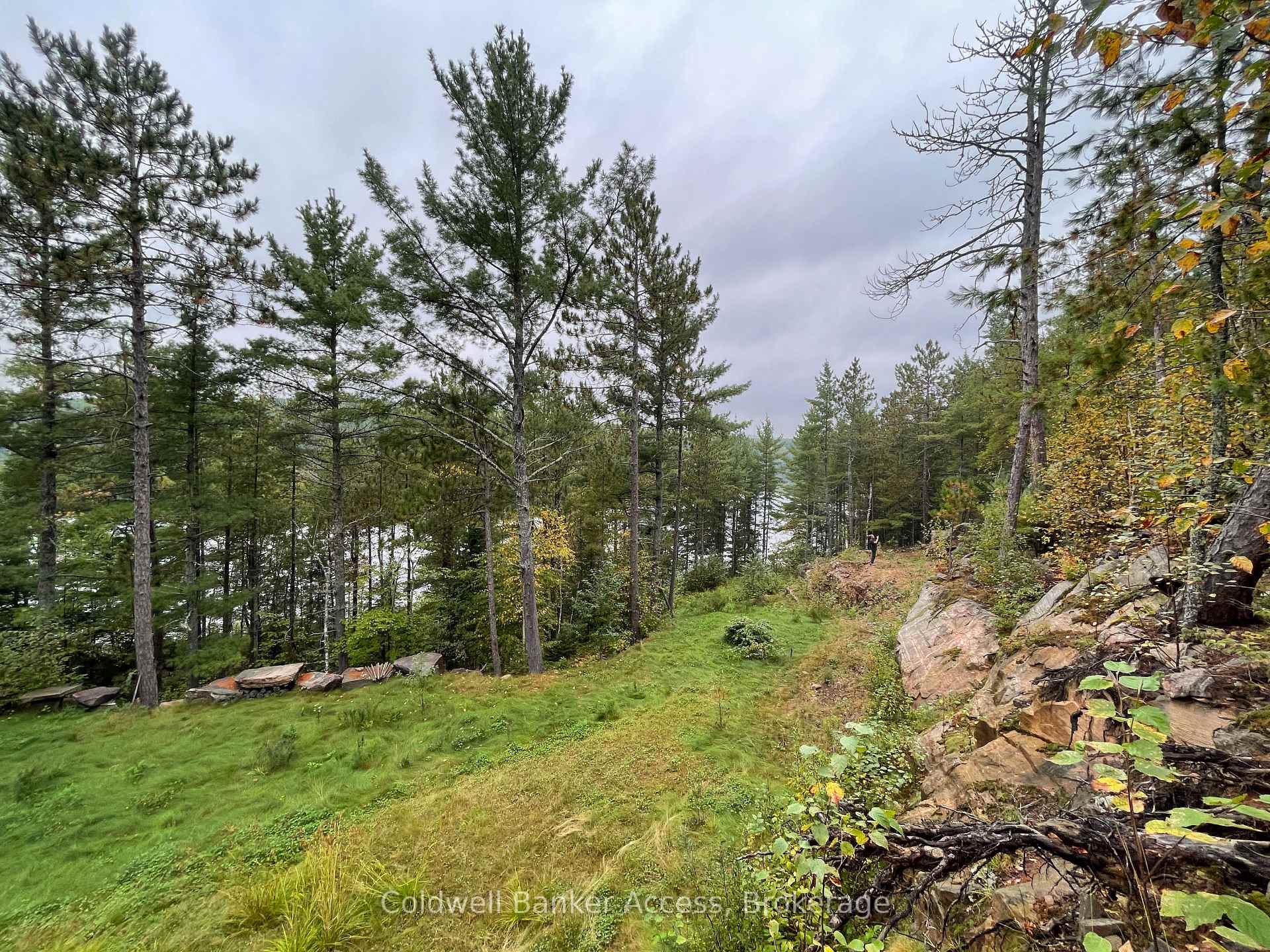 Photo 20 of LOT 23 Concession 6, Calvin — HOMEH