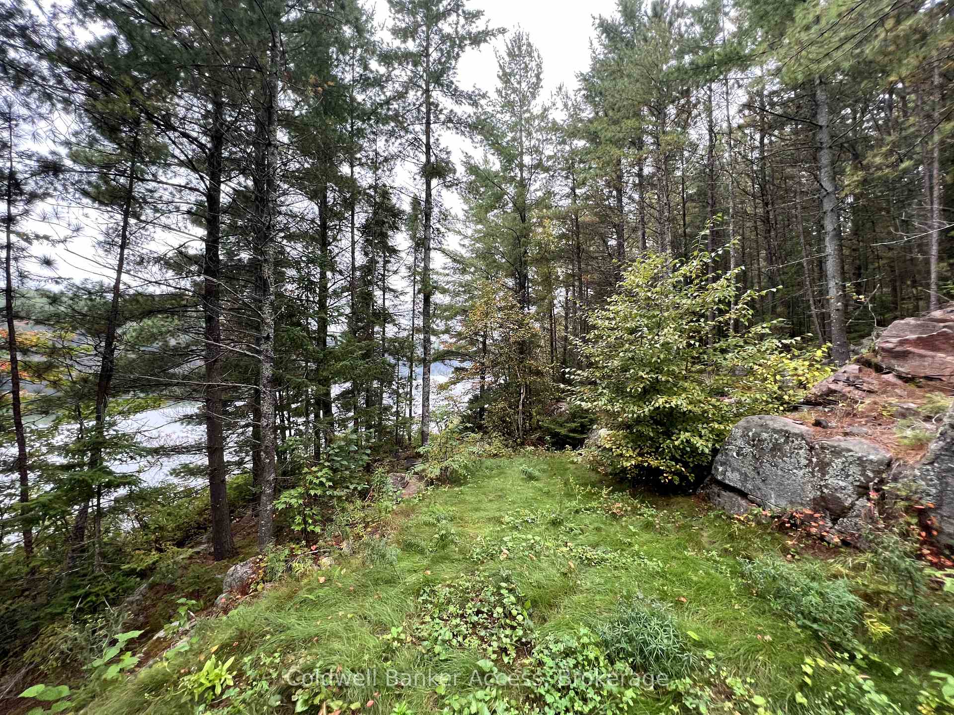 Photo 22 of LOT 23 Concession 6, Calvin — HOMEH