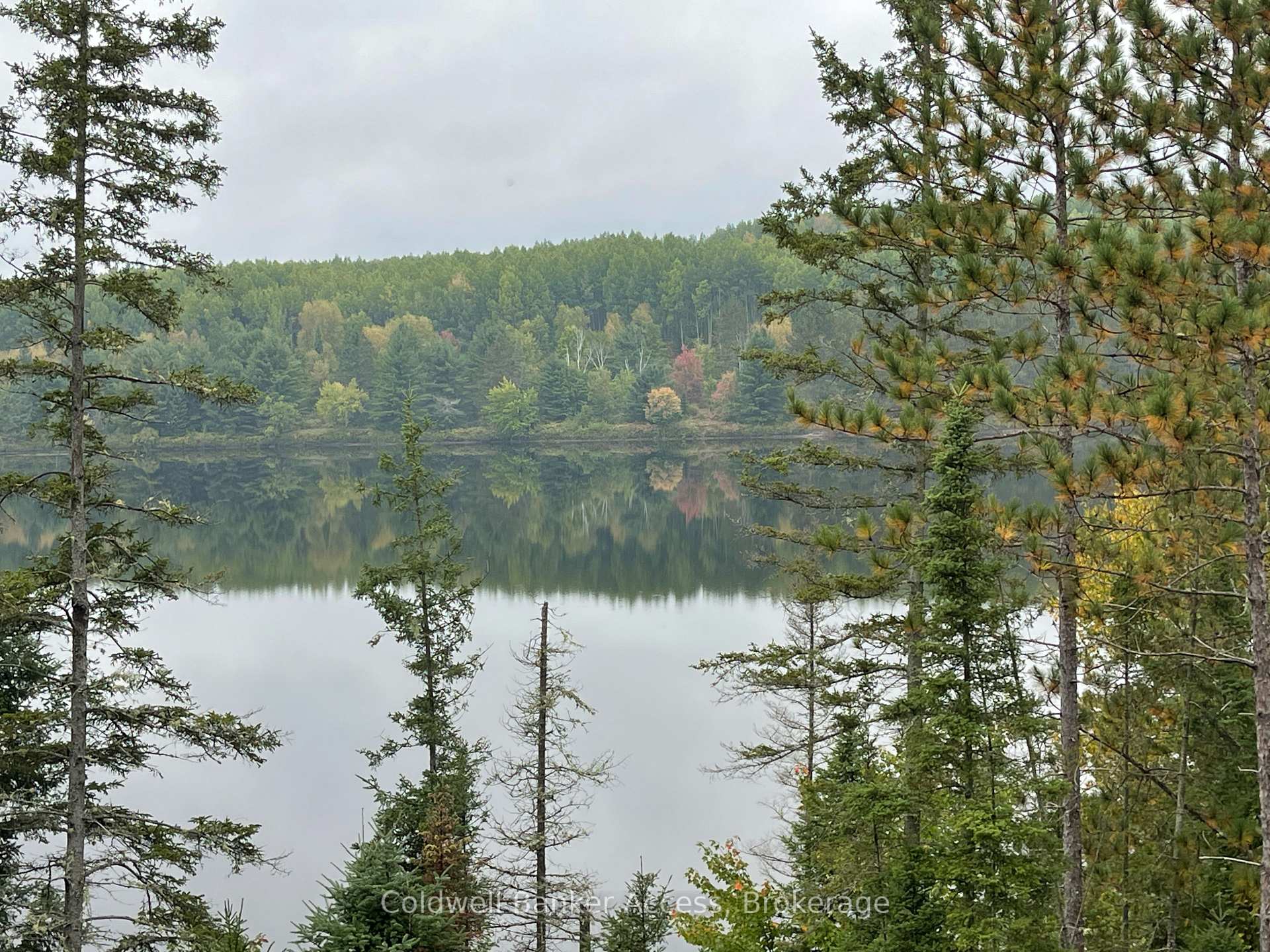 Photo 24 of LOT 23 Concession 6, Calvin — HOMEH