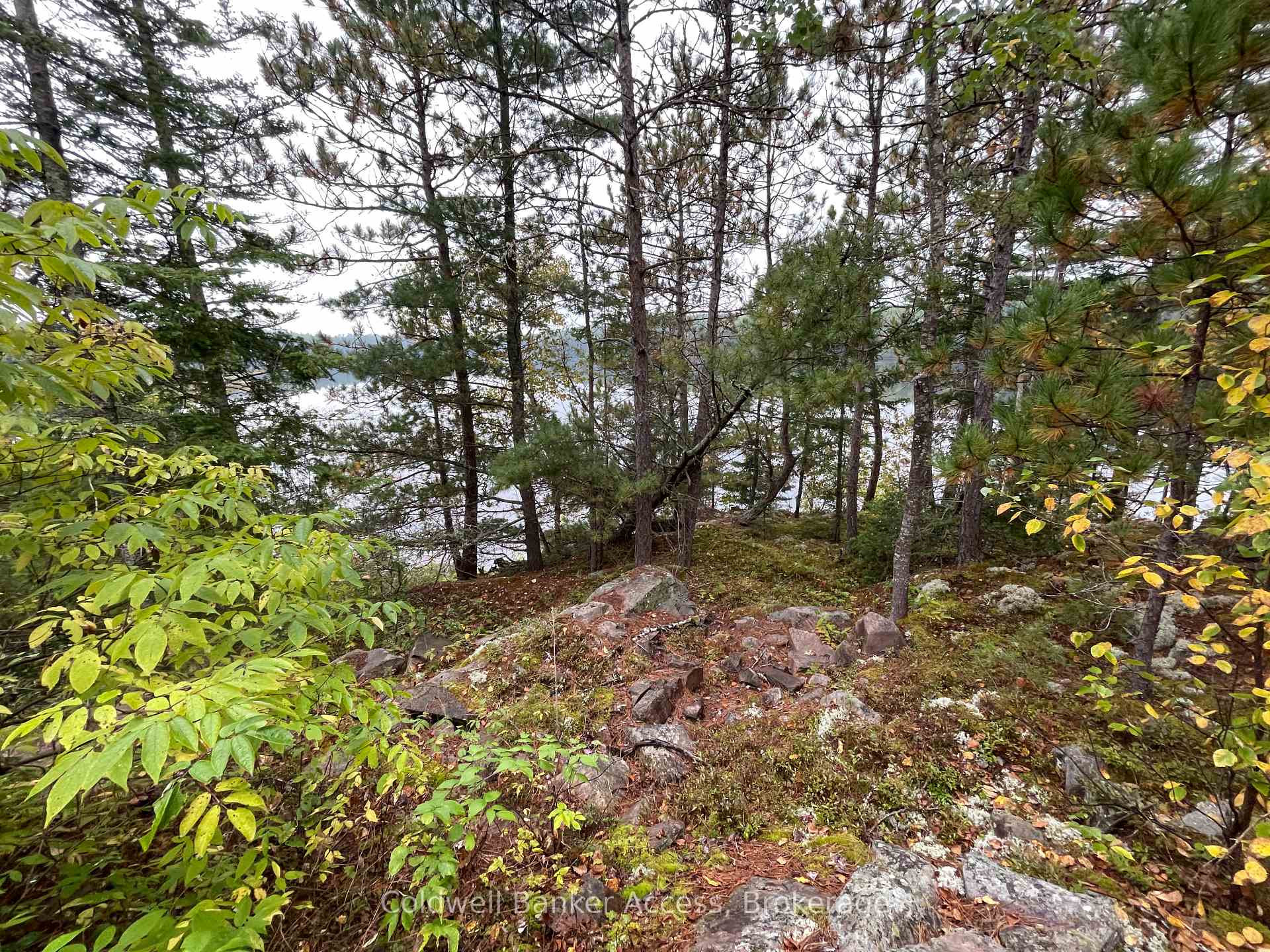 Photo 25 of LOT 23 Concession 6, Calvin — HOMEH