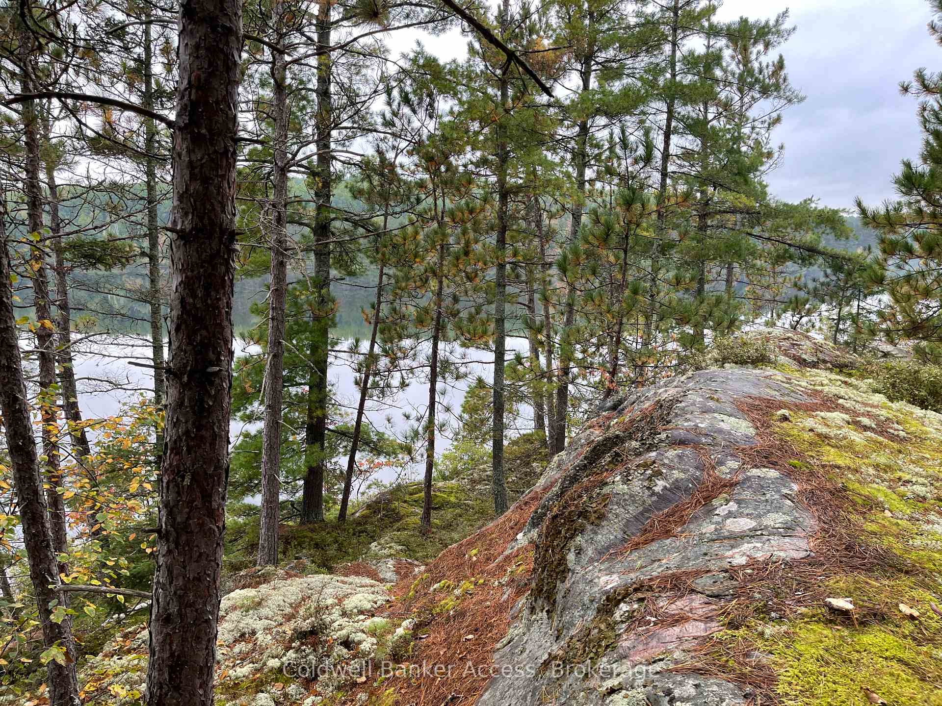 Photo 27 of LOT 23 Concession 6, Calvin — HOMEH