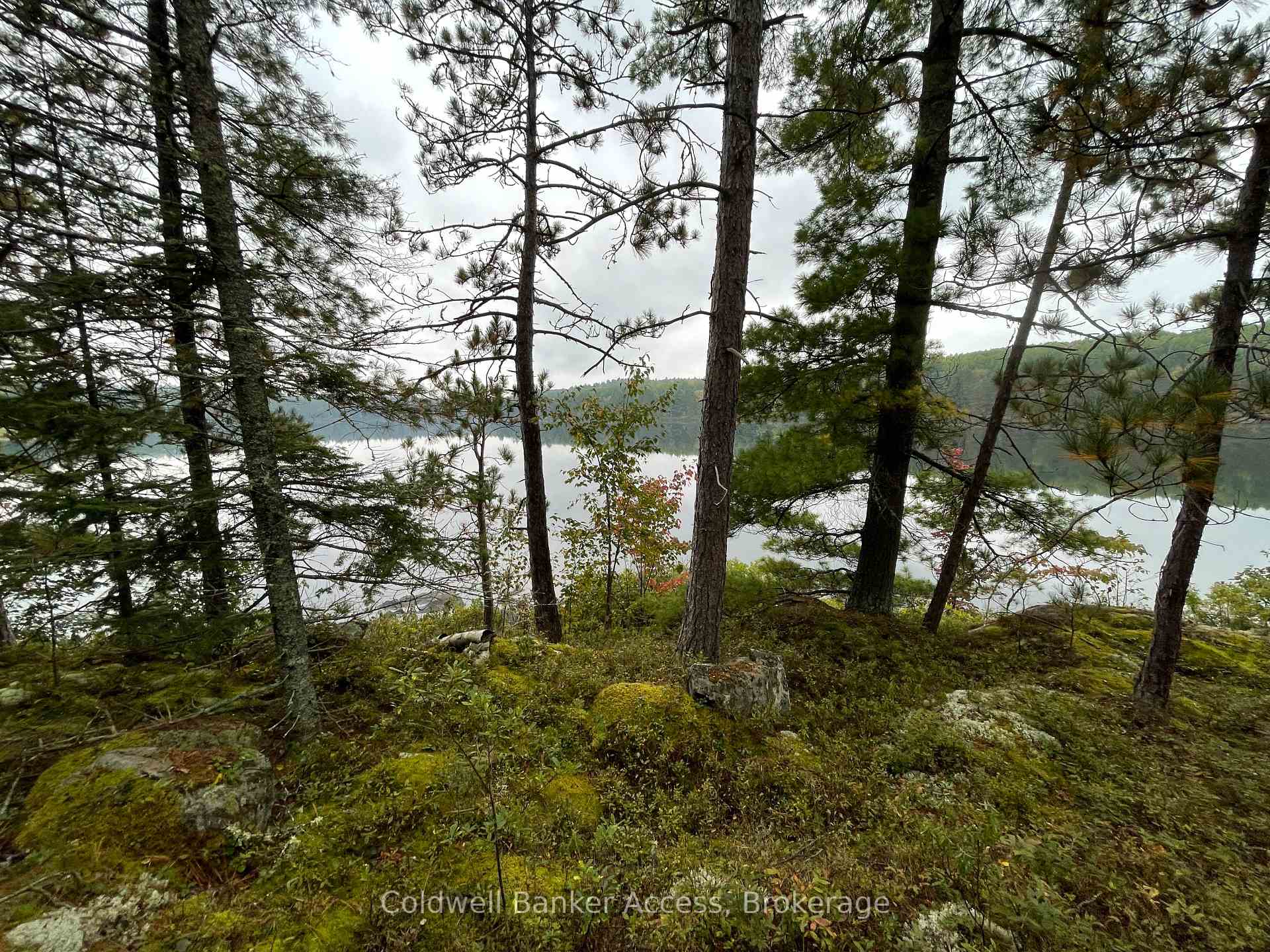 Photo 28 of LOT 23 Concession 6, Calvin — HOMEH