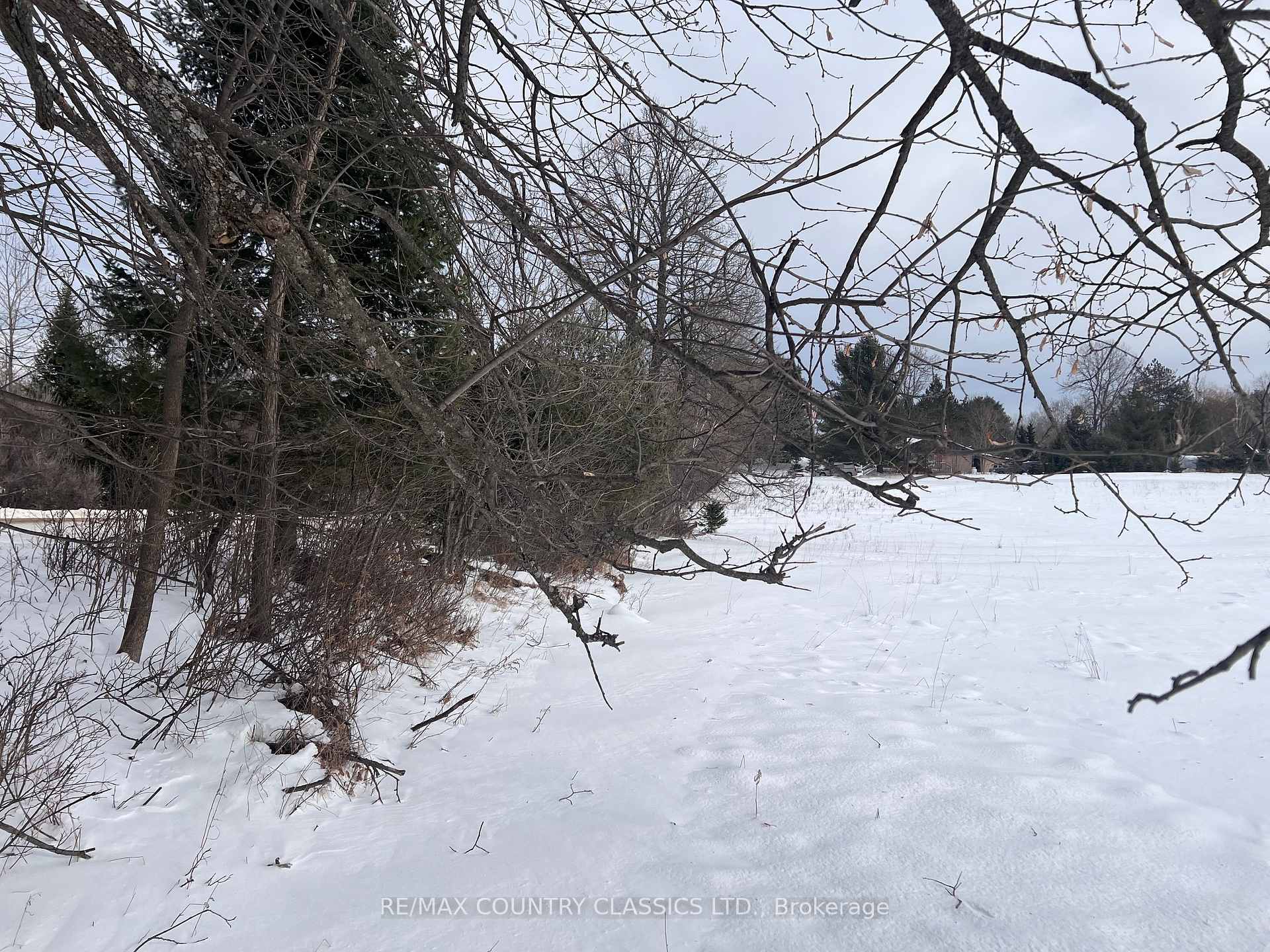 Photo 4 of Upper Turriff Road, Bancroft, Dungannon Ward — HOMEH