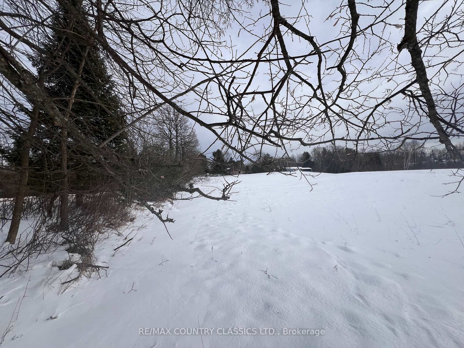 Photo 8 of Upper Turriff Road, Bancroft, Dungannon Ward — HOMEH