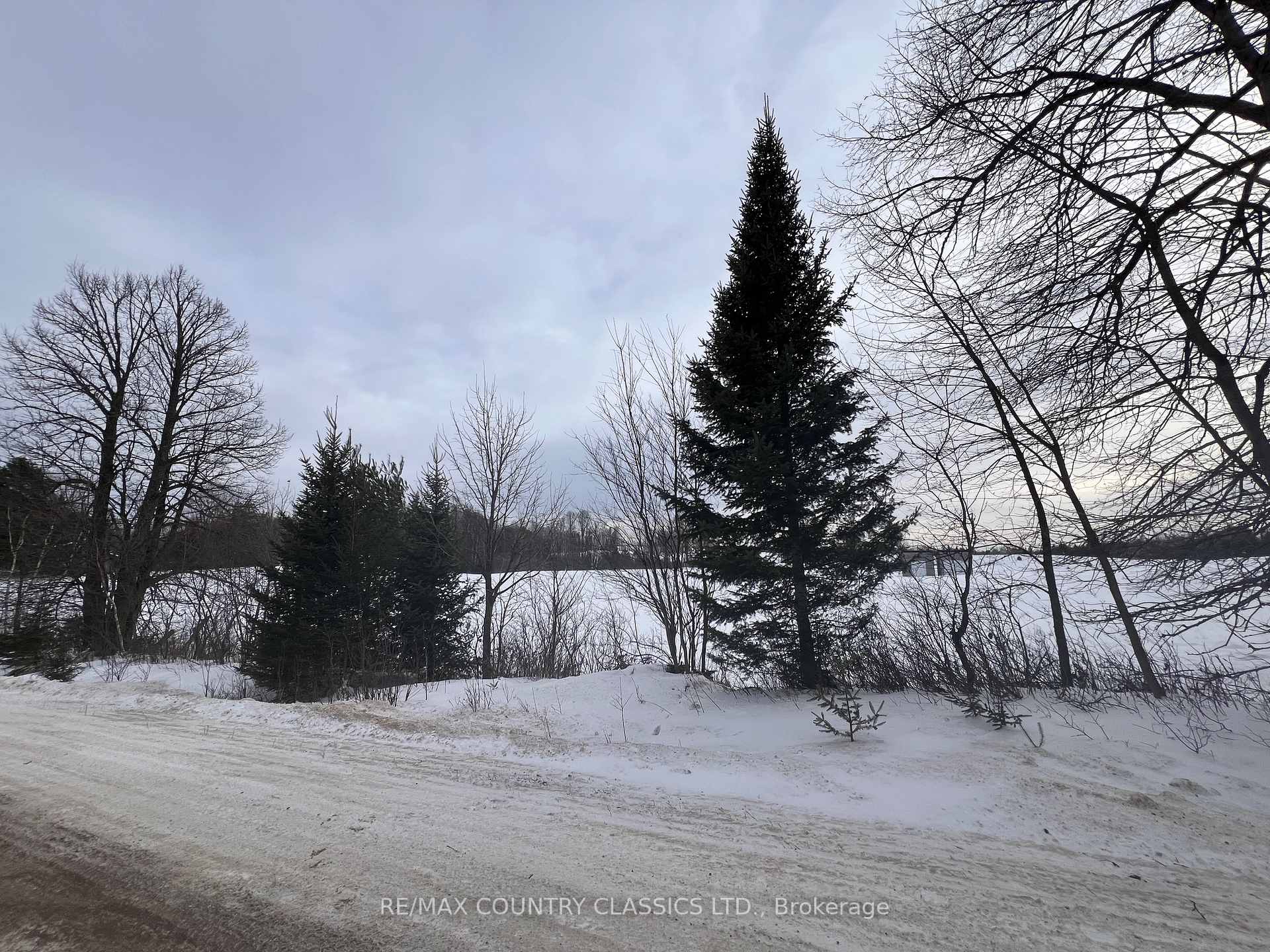 Photo 10 of Upper Turriff Road, Bancroft, Dungannon Ward — HOMEH