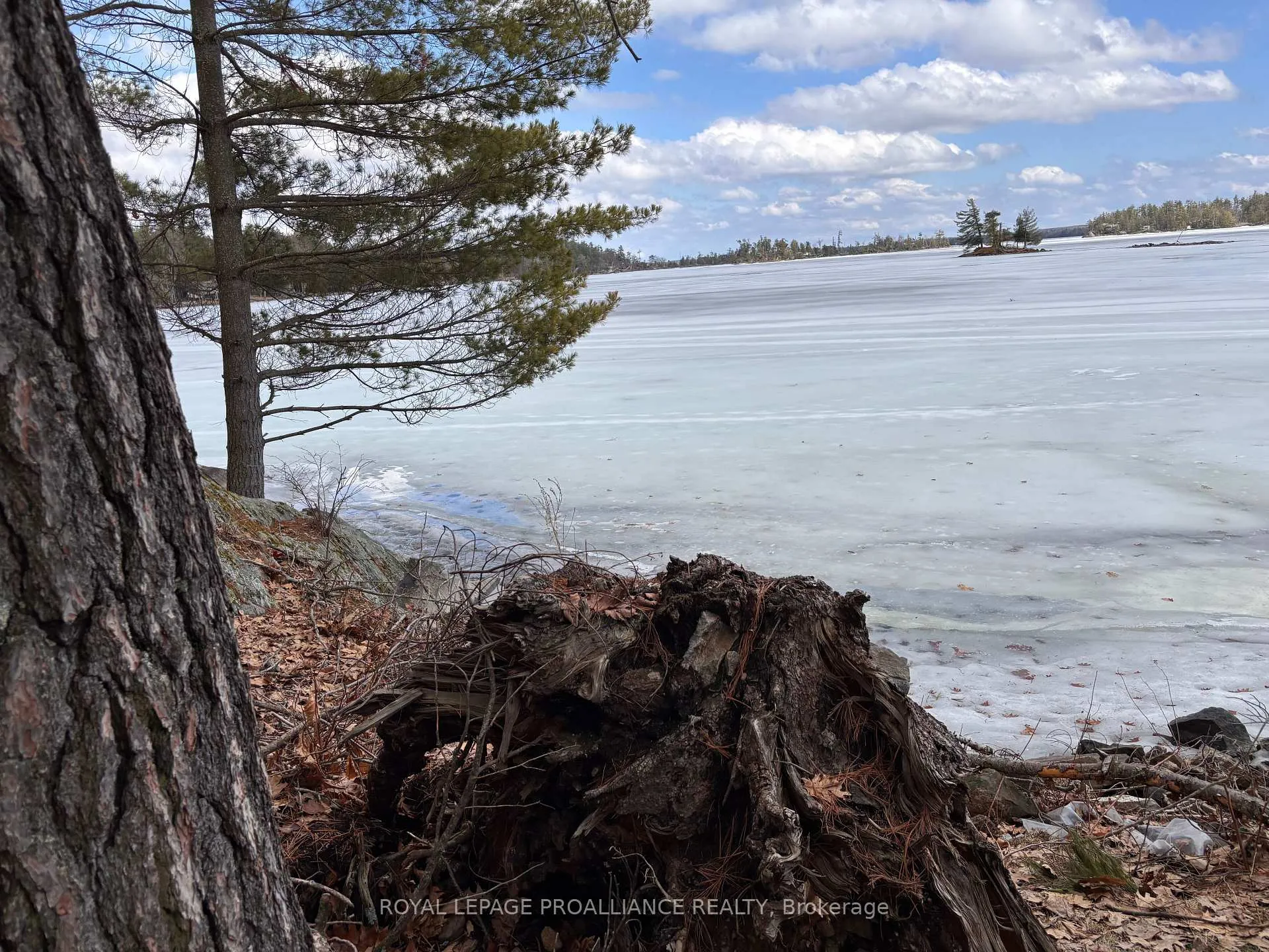 Photo 19 of 71 Fire 15 Route, North Kawartha — HOMEH